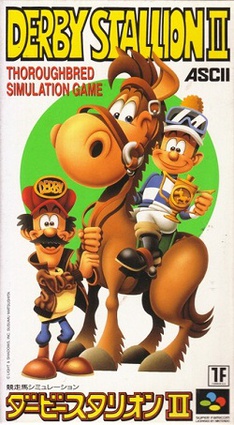 Derby Stallion