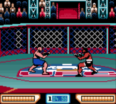 Ultimate Fighting Championship