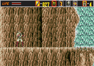 Revenge of Shinobi, The