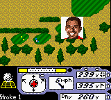 Tiger Woods PGA Tour 2000