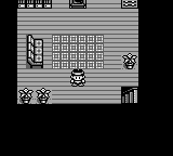 Monster Race