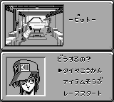 Shinseiki GPX Cyber Formula