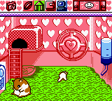 Hamster Paradise