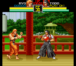 Art of Fighting
