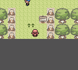 Pokemon Pink Version 2.1