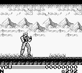 Hiryuu no Ken Gaiden