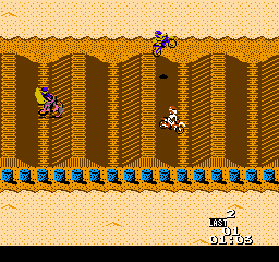 Motocross Champion