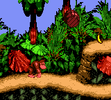 Donkey Kong 2001
