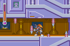 MegaMan & Bass