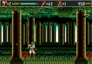 Super Shinobi II, The