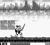 Teenage Mutant Hero Turtles - Fall of the Foot Clan