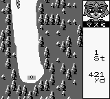 Pocket Golf