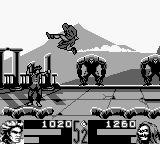 Shaq Fu