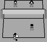 Seaside Volley