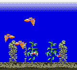 Aqualife
