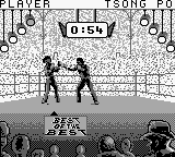 Best of the Best - Championship Karate