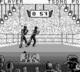 Best of the Best - Championship Karate (USA)