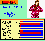 K.O. - The Pro Boxing