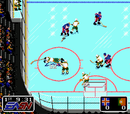 Pro Hockey