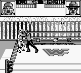 WWF Superstars 2
