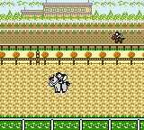 Pocket GI Stable